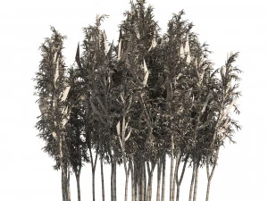 2 Bamboo Clusters 3D Model