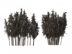 2 Bamboo Clusters 3D मॉडल