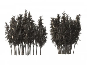 2 Bamboo Clusters 3D Model
