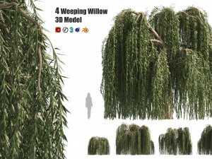 4 Weeping Willow Salix babylonica Trees 3D Models
