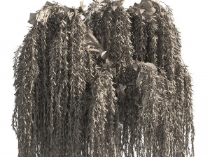 4 Weeping Willow Salix babylonica Trees 3D Model
