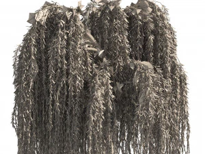 4 Weeping Willow Salix babylonica Trees 3D Model