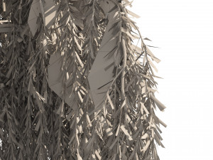 4 Weeping Willow Salix babylonica Trees 3D Model