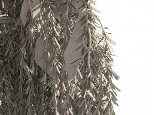 4 Weeping Willow Salix babylonica Trees 3D Model