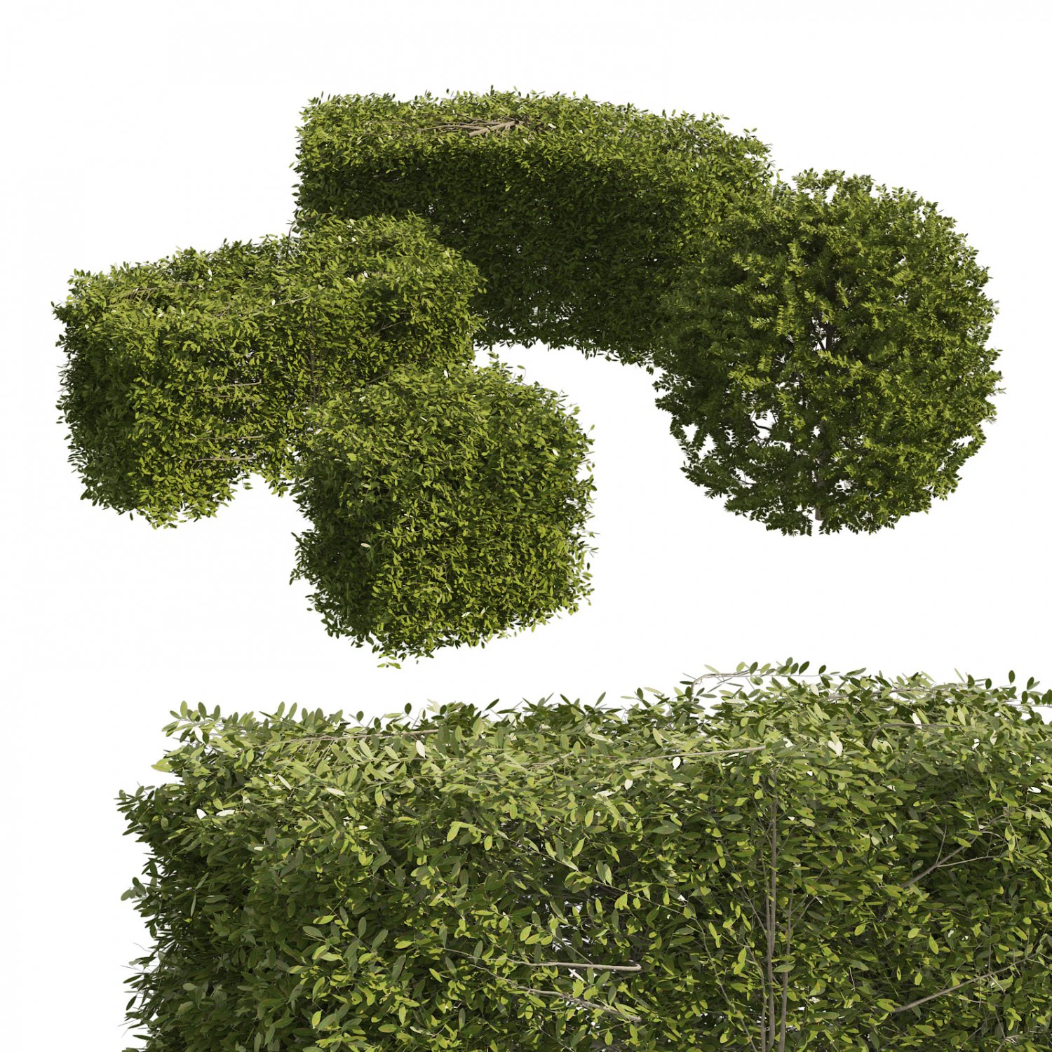 4 shaped topiary plant 3D Model .c4d .max .obj .3ds .fbx .stl .blend 