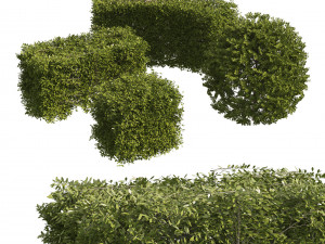 4 shaped topiary plant 3D Models