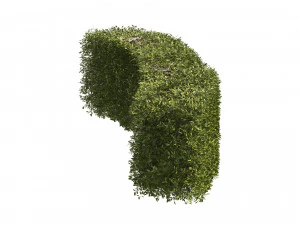 4 shaped topiary plant 3D Model