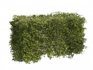4 shaped topiary plant Modelo 3D