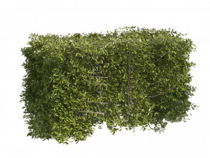 4 shaped topiary plant 3D Model