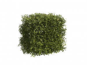 4 shaped topiary plant Modelo 3D