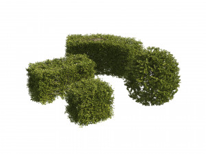 4 shaped topiary plant Modelo 3D