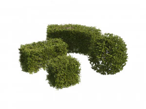 4 shaped topiary plant 3D Model
