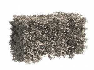 4 shaped topiary plant Modelo 3D
