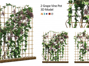 2 Grapevine low and med poly 3D मॉडल