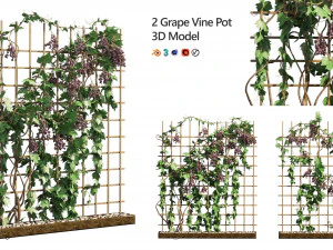 2 Grapevine baixo e m&eacute;dio poli Modelo 3D