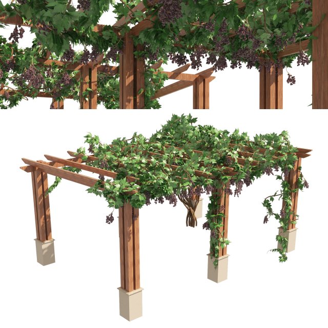 2 Grapevine low and med poly 3D-Modell .c4d .max .obj .3ds .fbx .stl .blend 