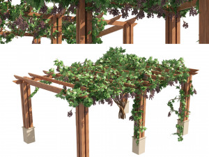 2 Grapevine low and med poly 3D Model