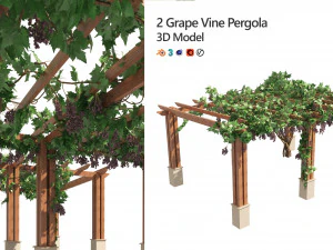 2 Grapevine low and med poly 3D Model