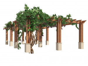 2 Grapevine low and med poly 3D-Modell