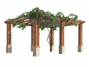 2 Grapevine low and med poly 3D Model