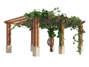 2 Grapevine low and med poly 3D Model