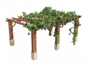 2 Grapevine low and med poly 3D-Modell