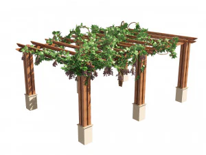 2 Grapevine low and med poly 3D Model