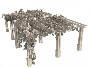 2 Grapevine low and med poly 3D Model