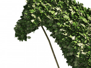 Topiary horse sculpture plant 3D-Modell