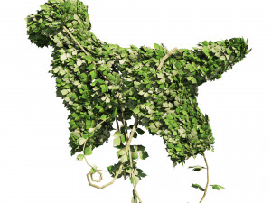 Topiary Dog sculpture plant 3Dモデル