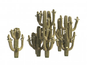 Saguaro Cactus Cluster of Arizona 3Dモデル