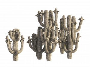 Saguaro Cactus Cluster of Arizona 3Dモデル