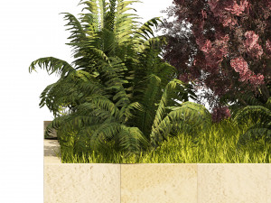 Garden border plant set low poly 3D Model