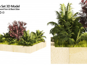 Garden border plant set low poly 3D Model