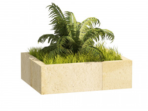 3 Street border plant 3D Model