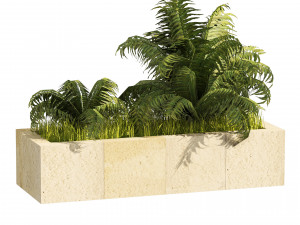 3 Street border plant 3D Model