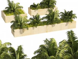 3 Street border plant 3D Model