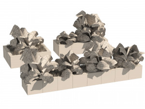 3 Street border plant 3D Model