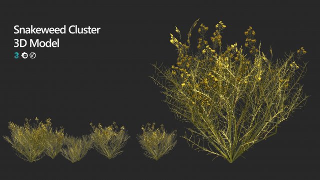 Snakeweeds Porter weeds cluster Model 3D .c4d .max .obj .3ds .fbx .stl .blend 