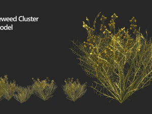 Slangenkruid Porter-onkruidcluster 3D Model