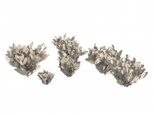 Snakeweeds Porter weeds cluster Model 3D