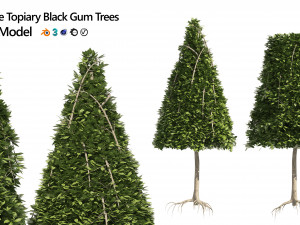 2 Cone topiary tree shape black gum tree 3D Model