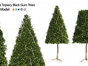 2 Cone topiary tree shape black gum tree 3Dモデル