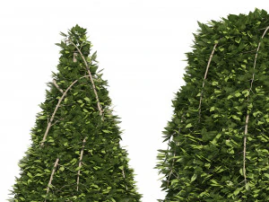 2 Cone topiary tree shape black gum tree 3D Model