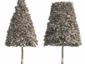 2 Cone topiary tree shape black gum tree 3D Модель