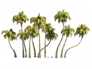 Coconut tree beach 3D Model
