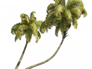 Coconut tree beach 3D Model