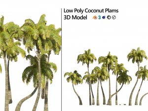 Coconut tree beach 3D Model