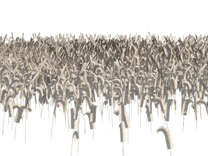 Golden wheat field 3D Model