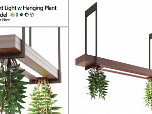 Pendant light with hanging plant FalseSpirea 3D 모델